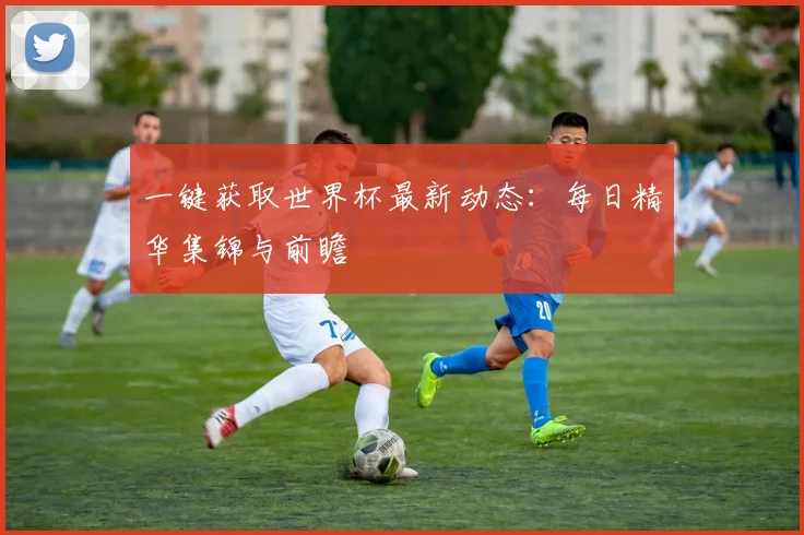 一键获取世界杯最新动态:每日精华集锦与前瞻