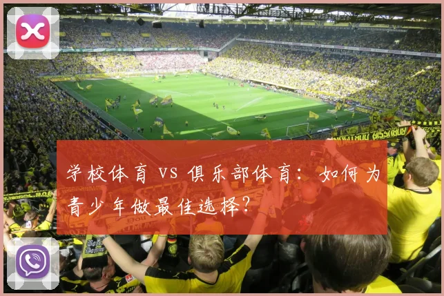 学校体育 vs 俱乐部体育:如何为青少年做最佳选择?