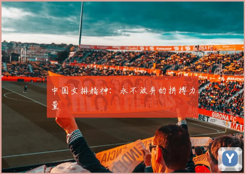 中国女排精神:永不放弃的拼搏力量