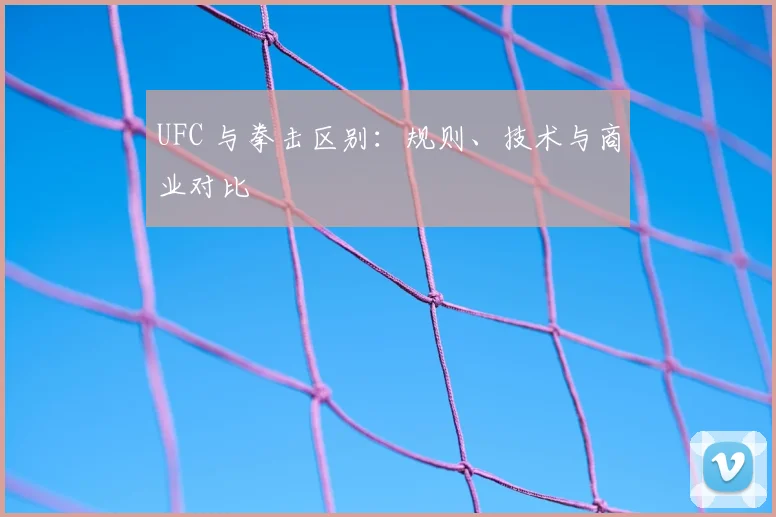 UFC 与拳击区别：规则、技术与商业对比