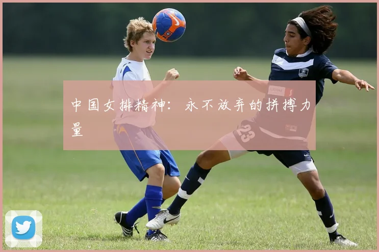 中国女排精神：永不放弃的拼搏力量
